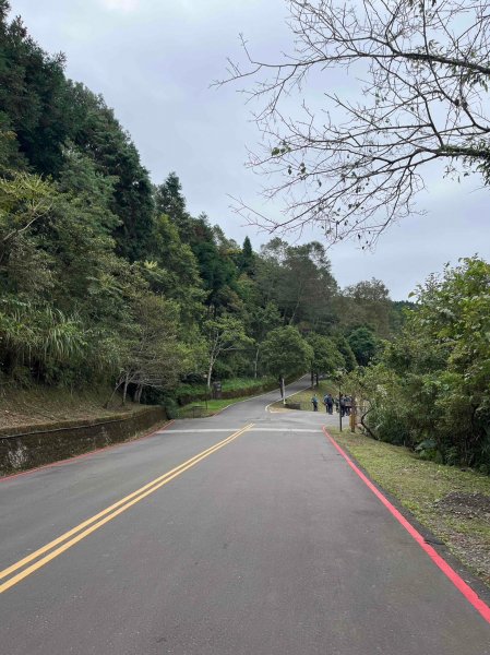 桃園 復興/新北 三峽 東滿步道2314896