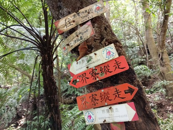 基隆市/萬里區界寮縱走之三界山+三界山西峰+開眼尖山+七分寮山+瑪七產道山泉水接水亭2979541