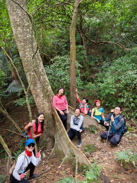 東勢大崙、東勢坑山、觀音湖山O走2986295