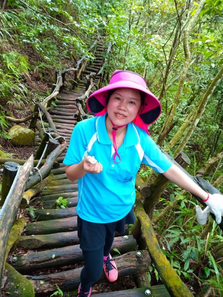 小百岳(41)-頭嵙山(四號步道)-201808151785192