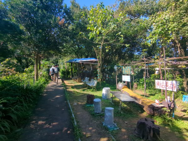 2026.01.25－微笑山線：【天上山系】烘爐地土地公段2994562