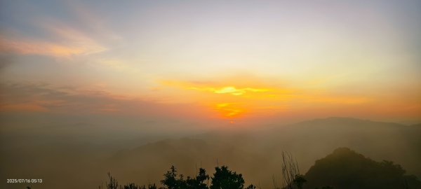 雲山水花鳥蝶-天龍國阿伯的日常 7/162838392