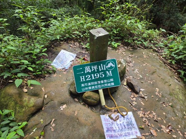 二萬坪山、二萬坪森林步道3055592