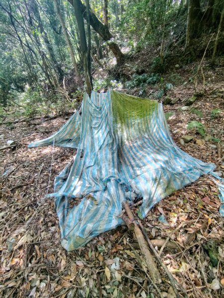 南東眼山連走有勝山2918753