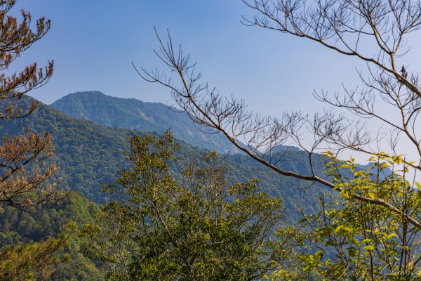 谷關七雄_唐麻丹山3015632