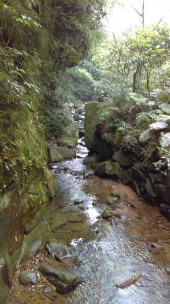 滑瀑岩洞、溪水清澈的基隆暖東峽谷步道974252
