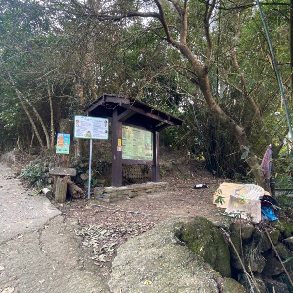 台南大凍山 1241M 小百岳#631270935