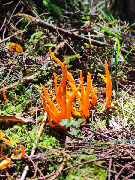 南湖群峰五天四夜2871882