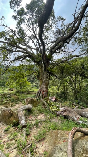 銀河洞越嶺貓空-新高麗坑山-銀獅縱走-猴山岳群峰+三條魚縱走2765333