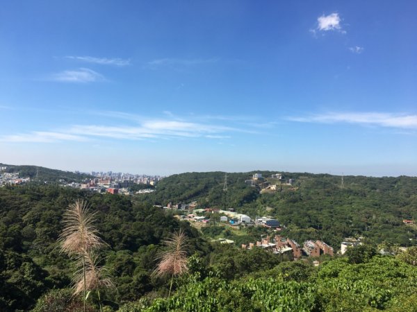 福源山步道、石雲森林步道2358020