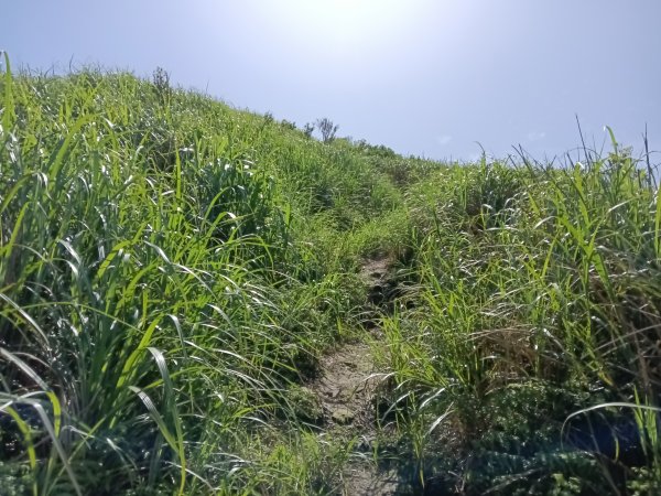 雙溪區不厭亭+牡丹山+樹梅坪+鷹石岩山神廟+不厭亭+奉憲示禁碑+三貂崙+不厭亭8字走2766217
