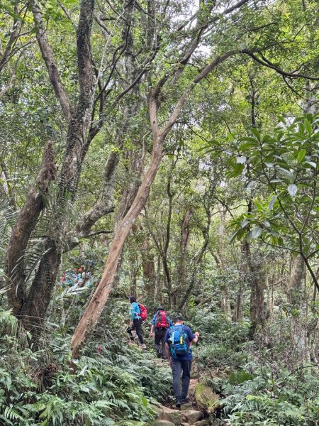 大艽芎古道縱走 新/溪州山(小百岳#23) 出溪州公園2893903