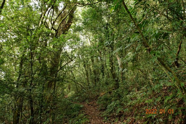 南投 仁愛 立鷹山1569674