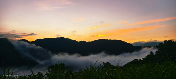 跟著雲海達人山友追雲趣 #草莓月亮 #月圓雲海 #霞光 #日出雲海 #茶園 6/112808772