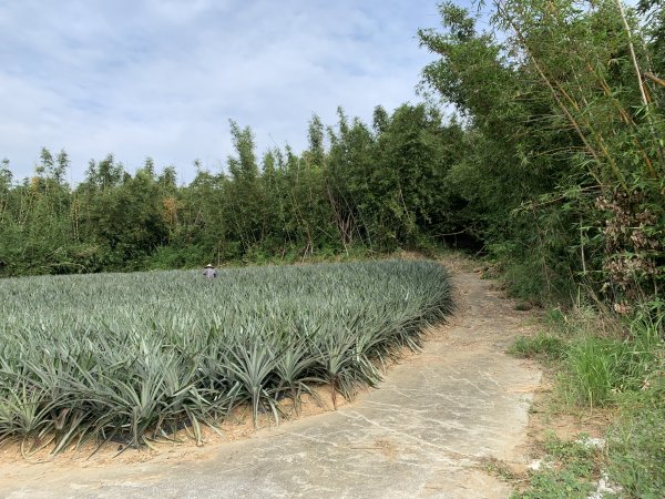 20251024台南大坪山2925601