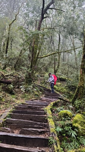 南一段20250101~052684994