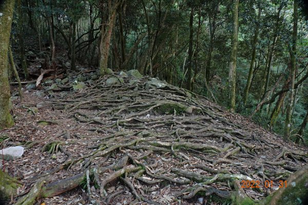 臺中 和平 鳶嘴山1597277