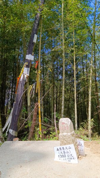 集集大山慢活行（孟宗竹林登山口）1627445