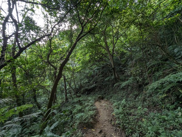 鳶山登山步道2095361