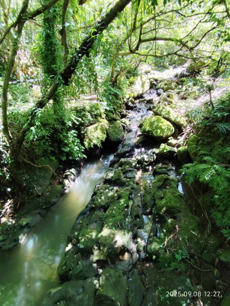 【臺北大縱走 7】2-2 指南宮貓空親山步道→壺穴步道→茶展中心步道→大成殿步道→指南宮竹柏參道2881862