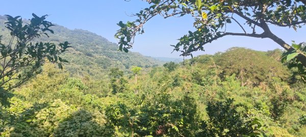 高雄壽山、半屏山2943046