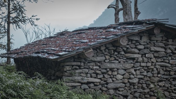 瓦拉米步道-佳心營地住一晚2708473