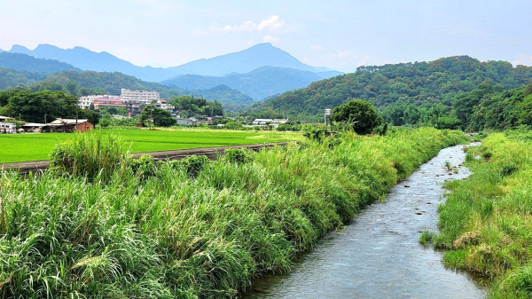 走訪南埔黃金水鄉，新竹挑水壢古道，連走觀音步道，欣賞百年水車，再登大分林山，擁絕佳展望