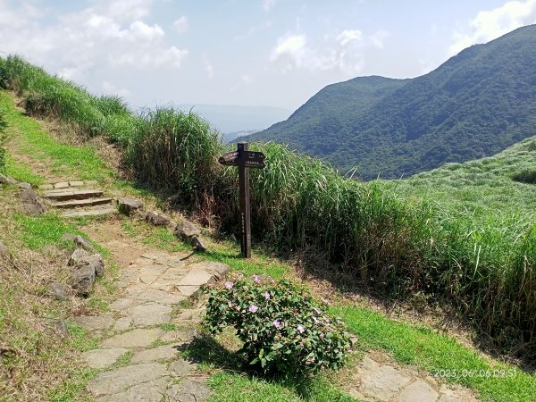 金包里大路(擎天崗至上磺溪停車場段)【走遍陽明山】2174792