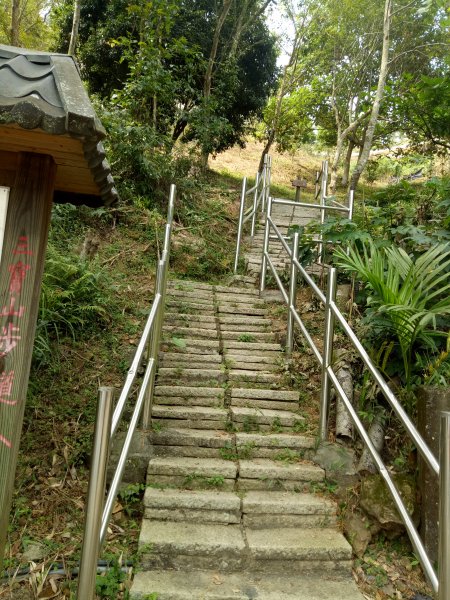 嘉義番路三寶山(半天岩紫雲寺起登)1844782