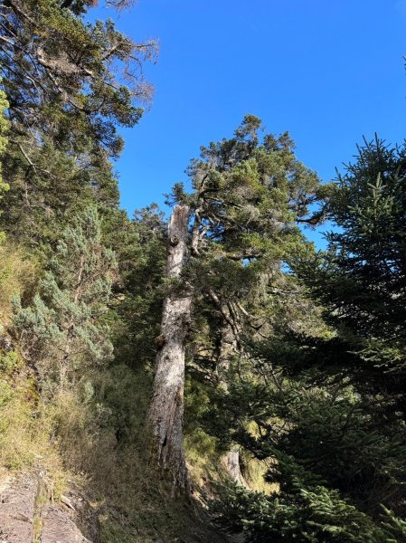 東埔山莊上排雲山莊再登玉山西峰2343707