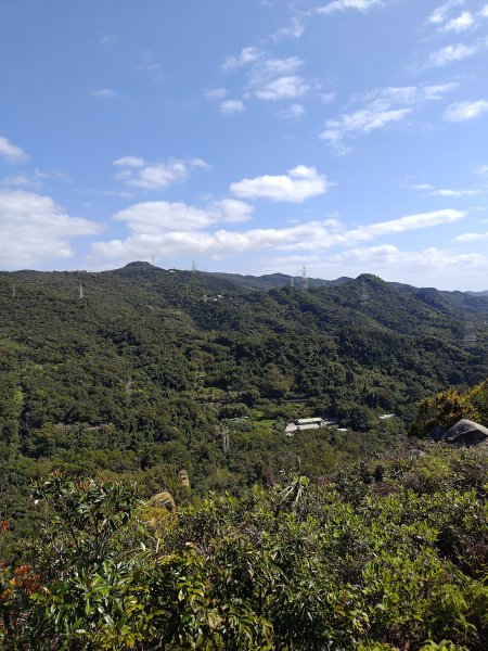 20260315金面山3015565