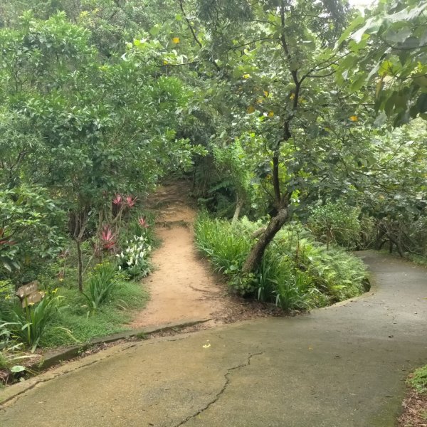 臺北大縱走第六段：中華科技大學至捷運麟光站2810841