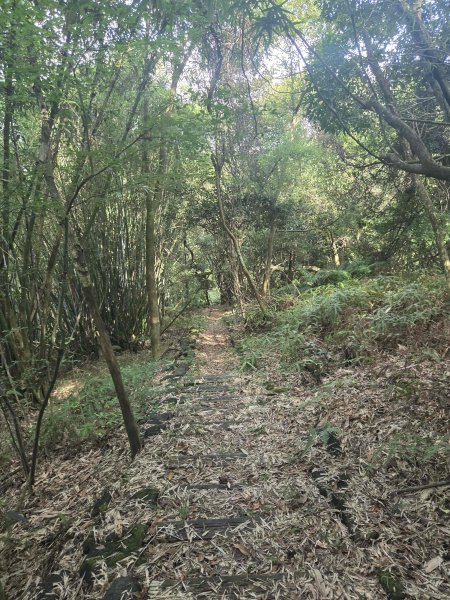 20260706大暖尖山-猴洞小o3084676