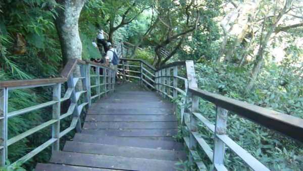 觀音山尋寶硬漢嶺/林梢步道/牛港稜山1030578