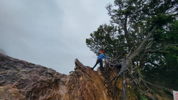 北得拉曼-20204062859834