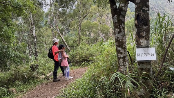 20250811未竟之小百岳里龍山2858815