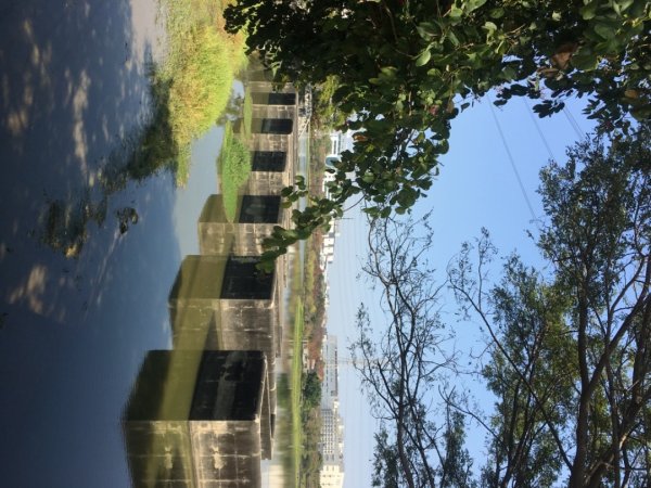 永康糖廠三崁店社遺址、迎曦湖、道爺湖、樹之谷、霞客湖2701607