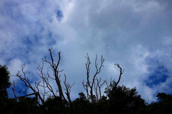 東滿步道登拉卡山1059404