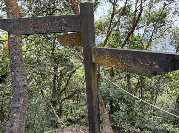 [微笑山線_第八段] 2026_0411 二格山系_筆架山南峰3035178