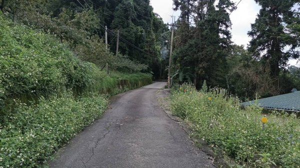 2025 0929 馬那邦山 - 天然湖 登山口2898142