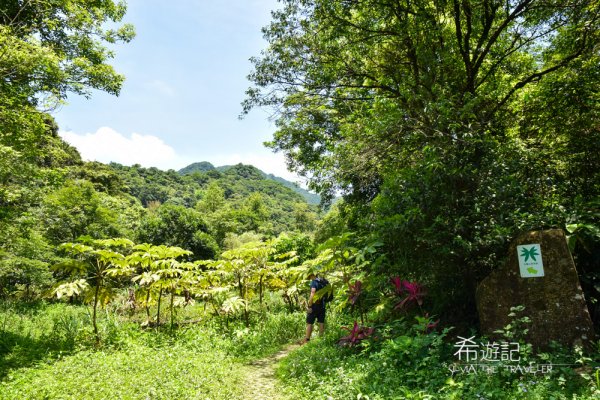 【淡蘭中路】暖暖到十分｜單日健行好去處1035222