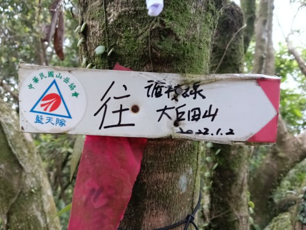 內湖區大丘田保甲路+開眼山+白石湖山+白石湖山東峰+大邱田山+消防山O型2858925