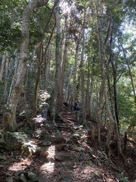 20251018台中八仙山2921436