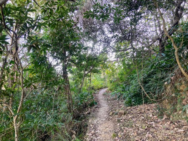 九份二山登山步道2688040