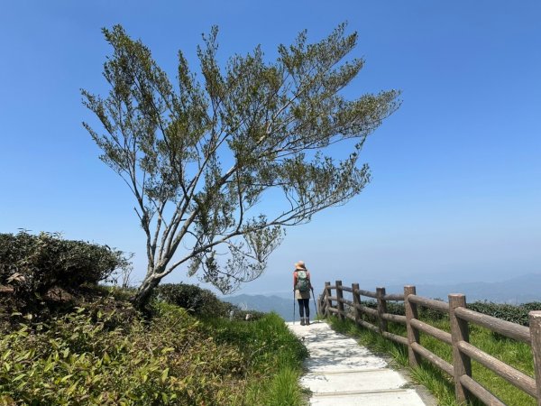 溪頭六連峰O繞2741737