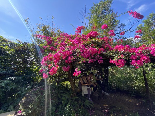 2025微笑山線大縱走尋寶集章任務-Ep.03【鳶山山系】鳶山彩壁段2893655