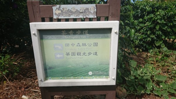 茶香步道～田中森林公園980881