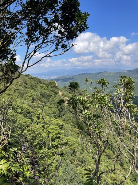 【二格山系】皇帝殿稜線2914132