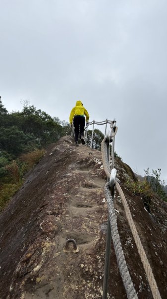 迎新（2026元旦2975572