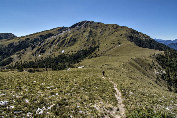 走進台灣的心臟地帶 34889